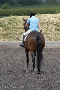 ISIS Dressage Challenge 2008